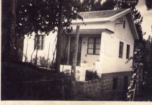 310914_517521574951530_1805409603_n